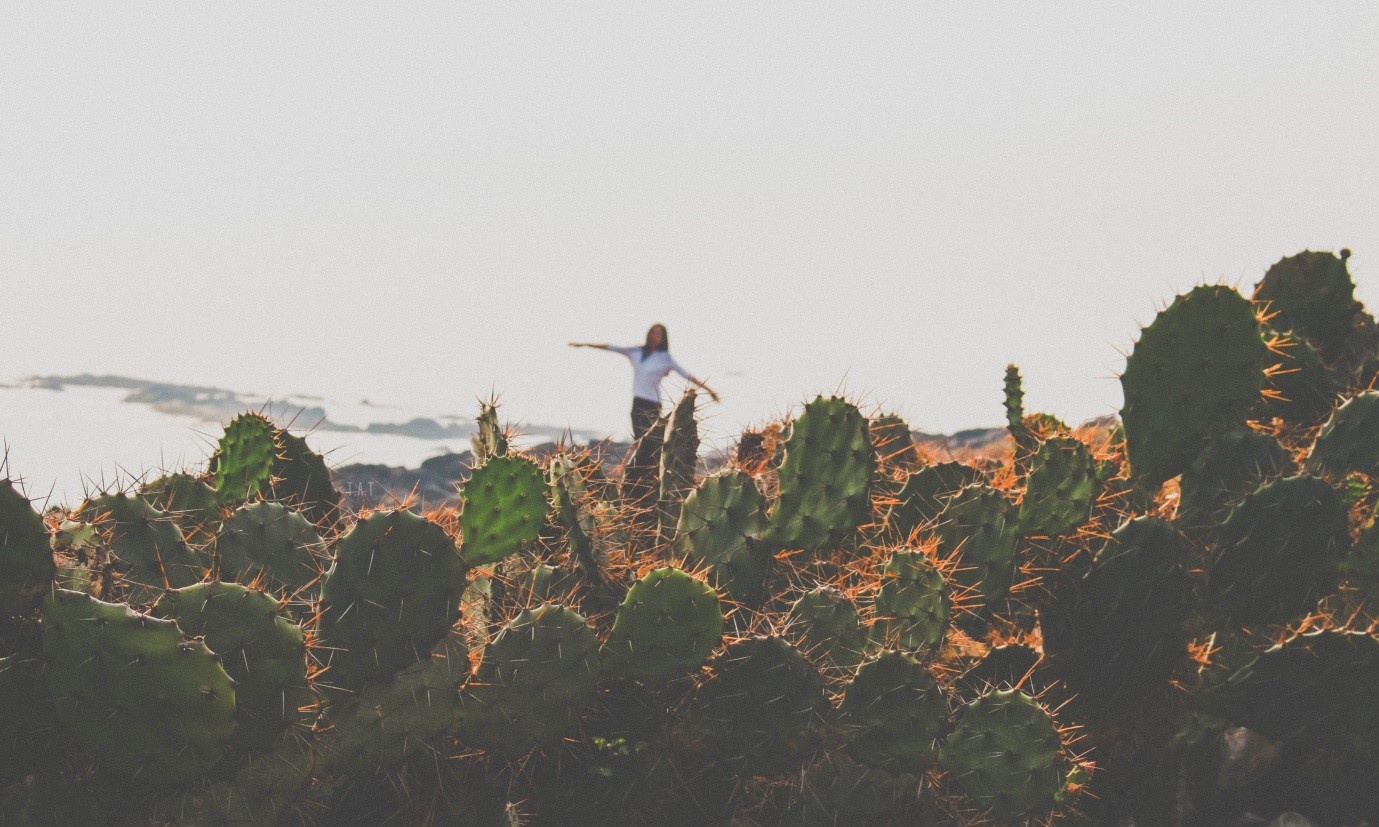 Cung đường Ninh Thuận Nha Trang ảnh 15 Cung duong Ninh Thuan Nha Trang anh 15