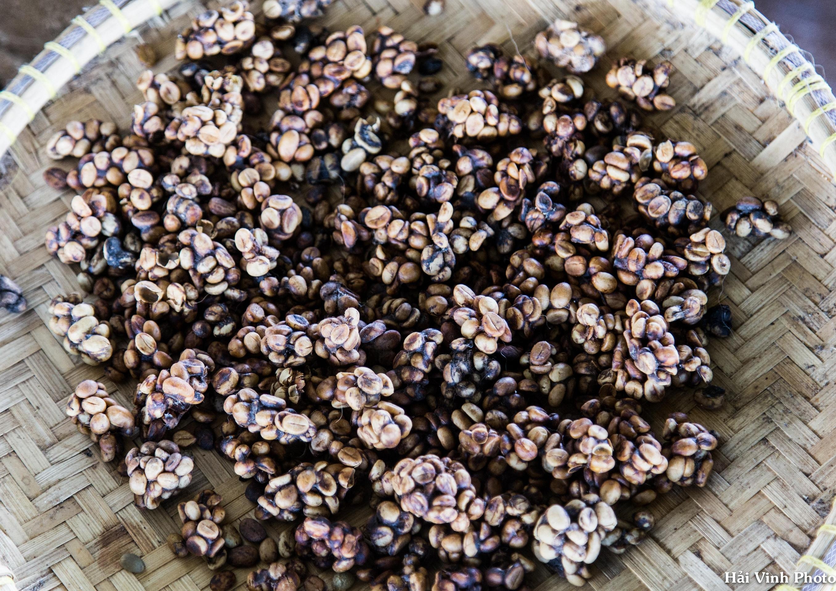 Trải nghiệm mùa hè Đà Lạt ảnh 5 Trai nghiem mua he Da Lat anh 5