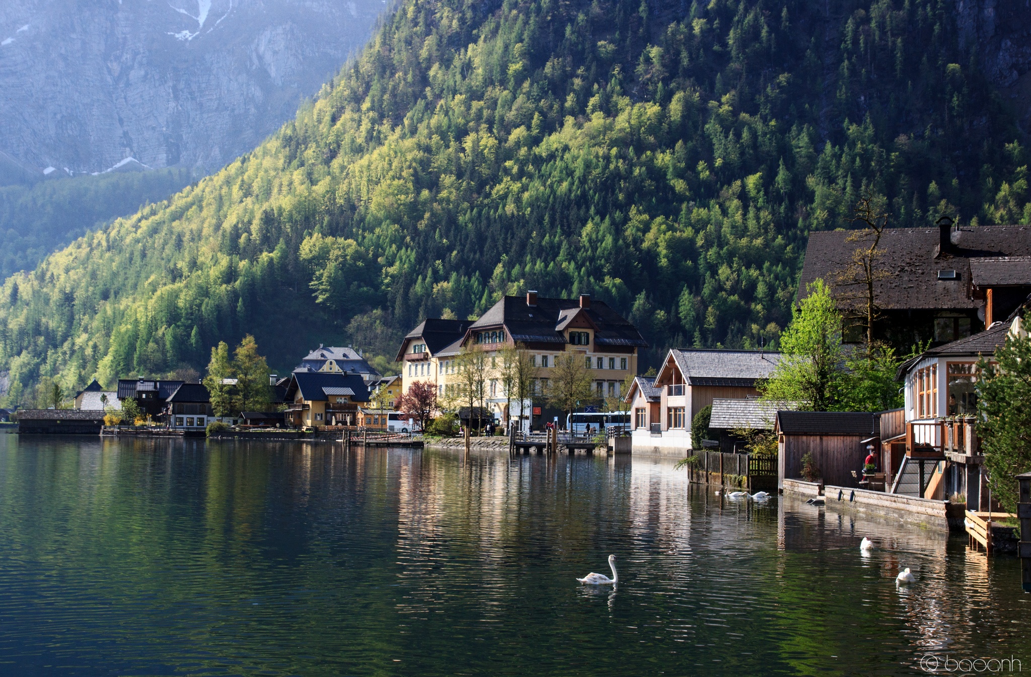 Ngoi lang Hallstatt cua Ao anh 7
