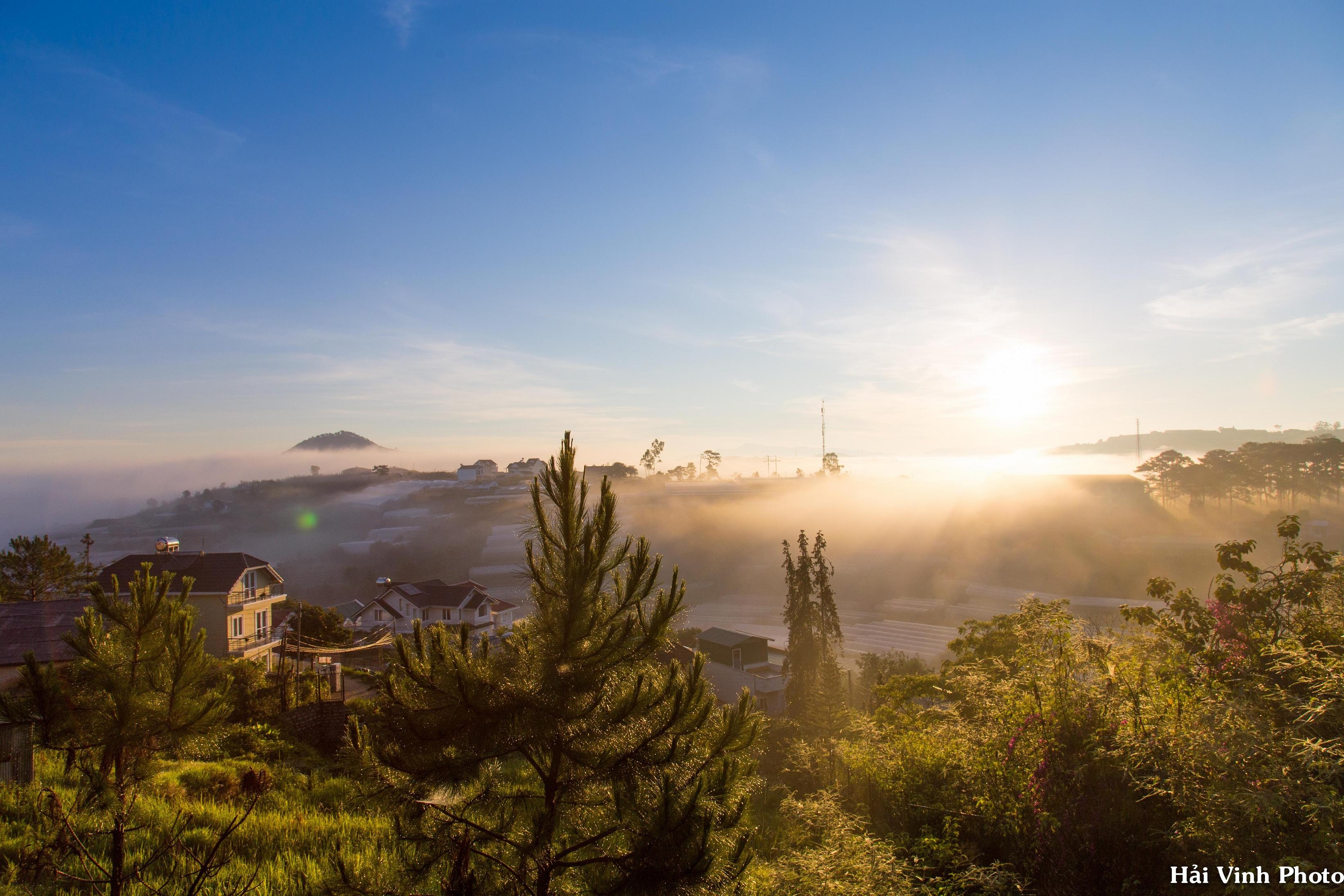 Trải nghiệm mùa hè Đà Lạt ảnh 8 Trai nghiem mua he Da Lat anh 8