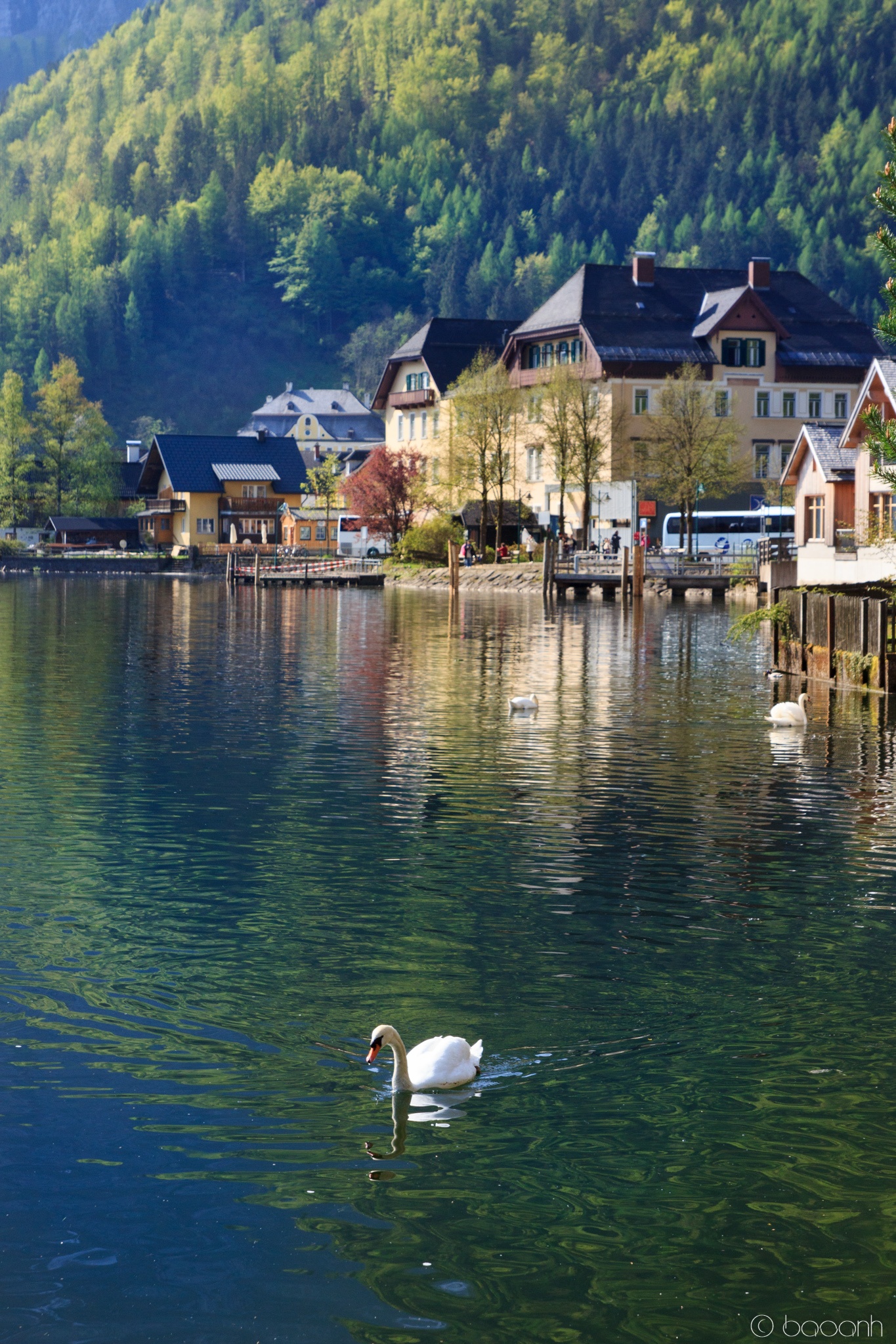 Ngoi lang Hallstatt cua Ao anh 8