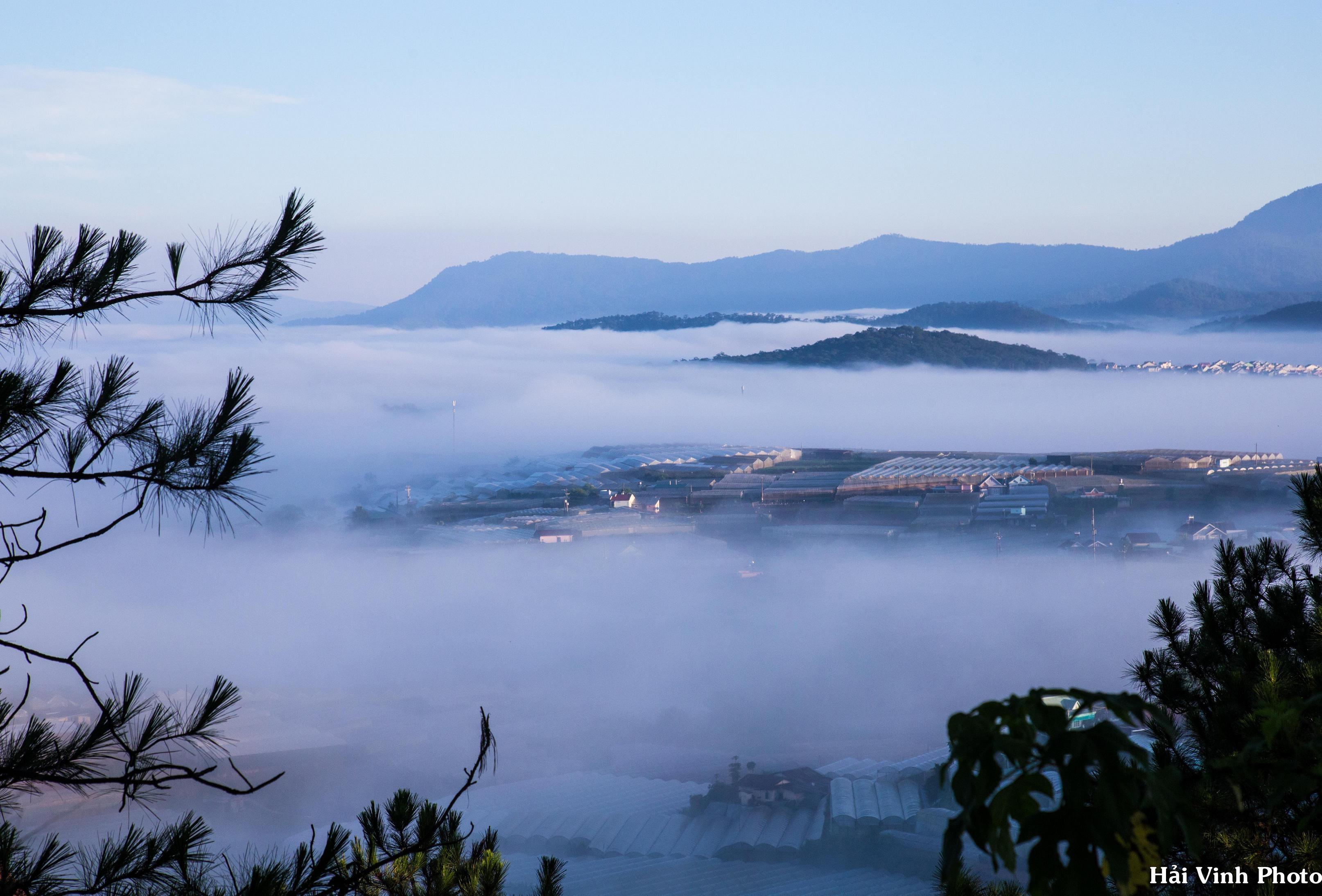 Trải nghiệm mùa hè Đà Lạt ảnh 9 Trai nghiem mua he Da Lat anh 9