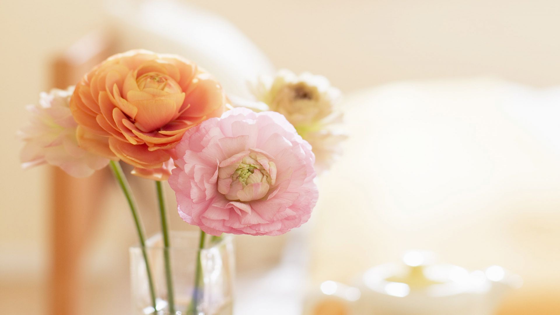 Tu vi thu tu ngay 15/6 cua cac cung hoang dao hinh anh