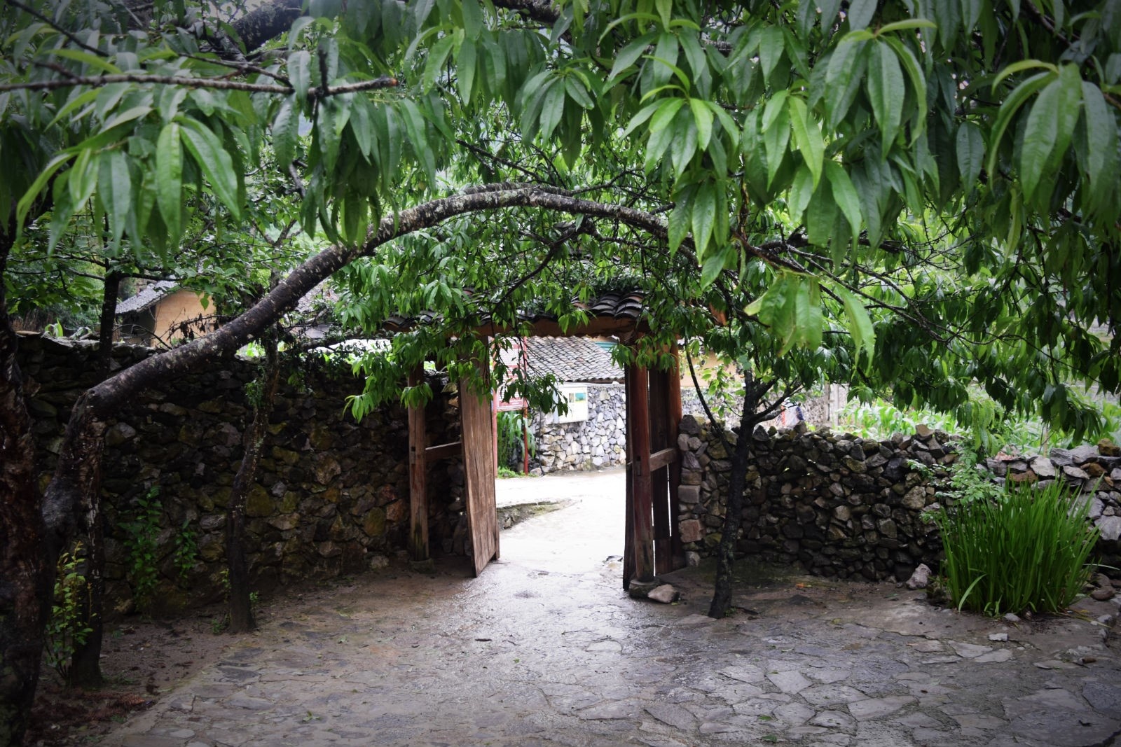 Kham pha cao nguyen da Dong Van anh 10