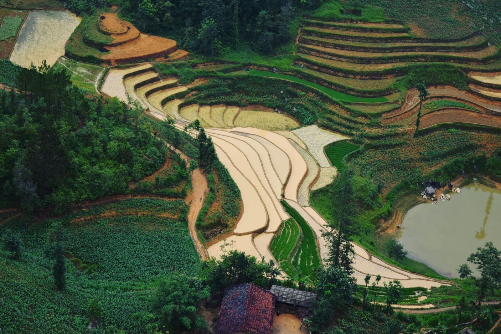 Kham pha cao nguyen da Dong Van anh 16