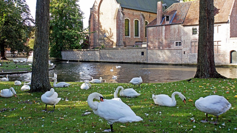 Bruges anh 5