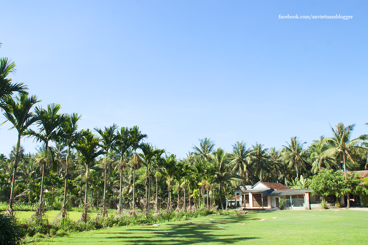 Hoài Nhơn Bình Định ảnh 12 Hoai Nhon Binh Dinh anh 12