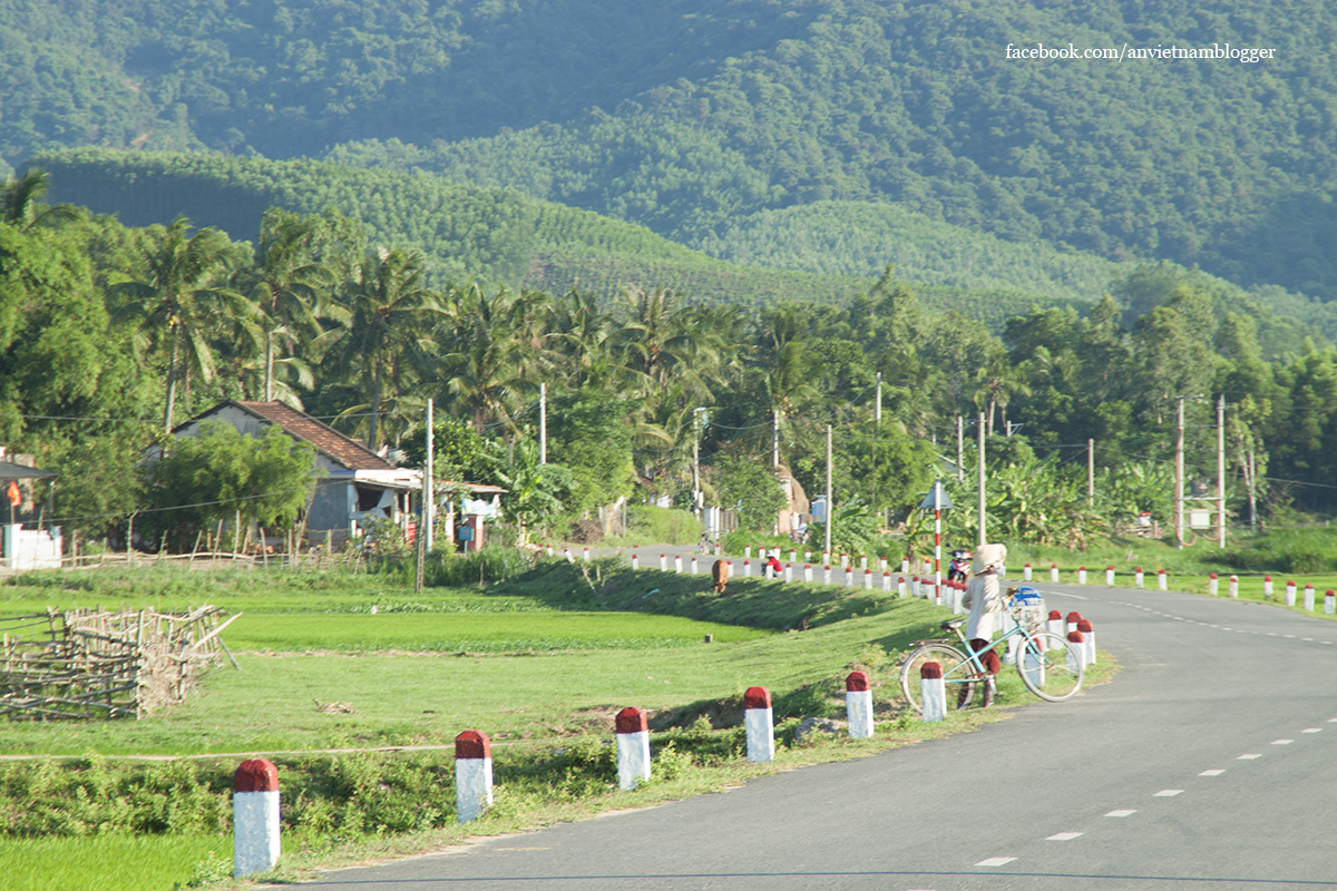 Hoài Nhơn Bình Định ảnh 5 Hoai Nhon Binh Dinh anh 5
