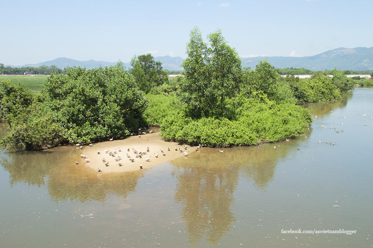 Hoài Nhơn Bình Định ảnh 8 Hoai Nhon Binh Dinh anh 8