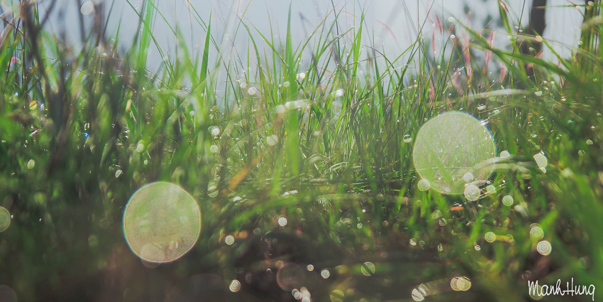 Kham pha Tay Nguyen anh 11