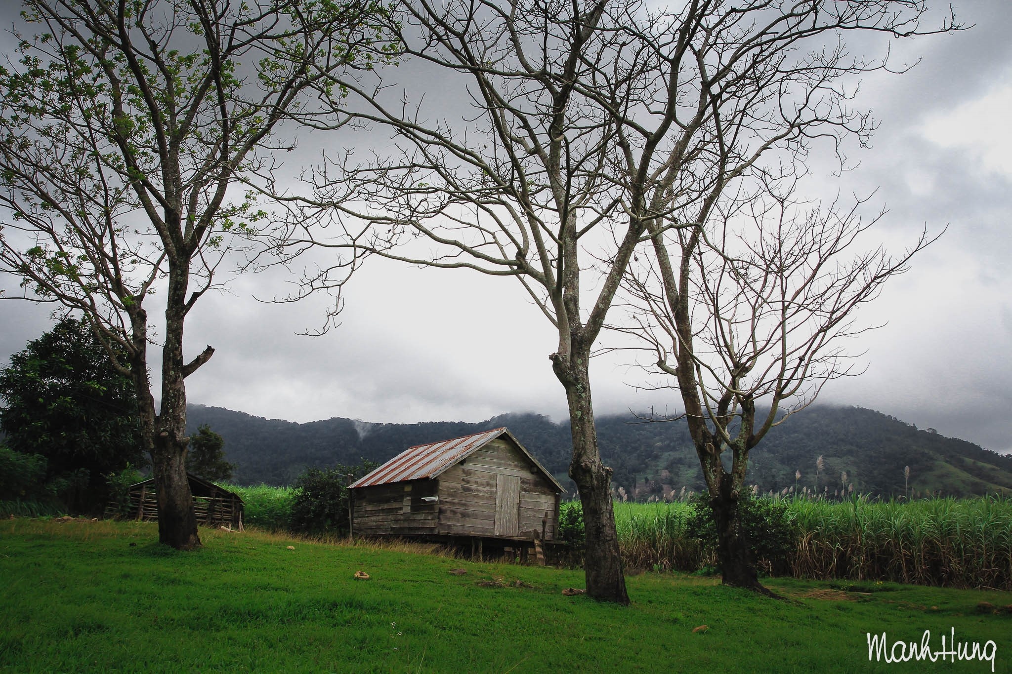 Kham pha Tay Nguyen anh 12