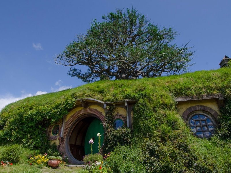 Nhung dia danh fan dien anh mo duoc dat chan toi hinh anh