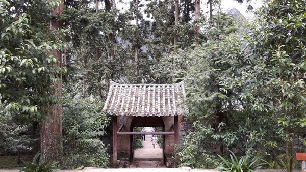 Dinh thự của Vua Mèo ảnh 3 Dinh thu cua Vua Meo anh 3