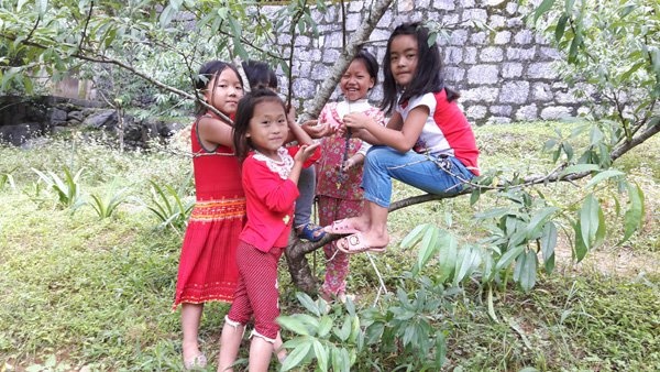 Dinh thự của Vua Mèo ảnh 17 Dinh thu cua Vua Meo anh 17