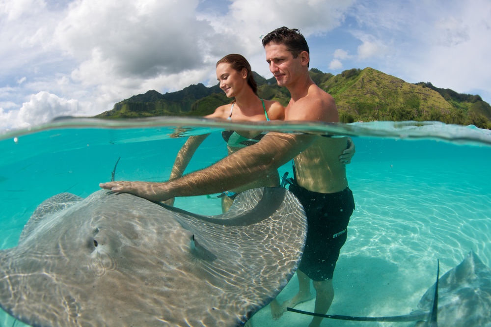 9 dia danh ngot ngao va lang man cho tuan trang mat hinh anh