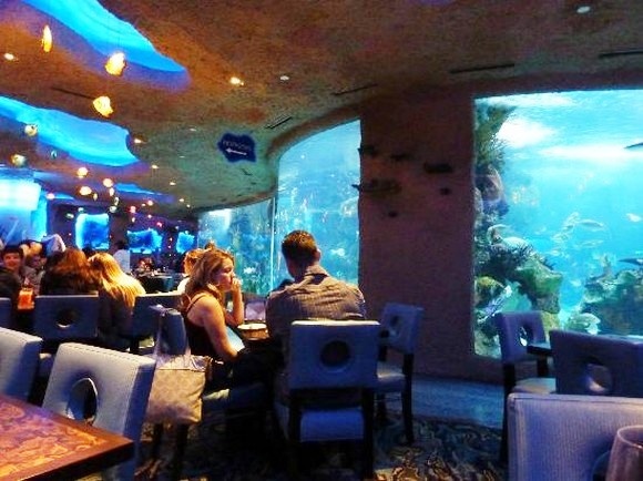 Nhung nha hang duoi dai duong anh 10