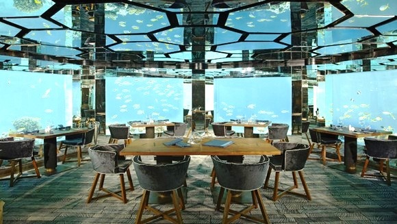 Nhung nha hang duoi dai duong anh 13