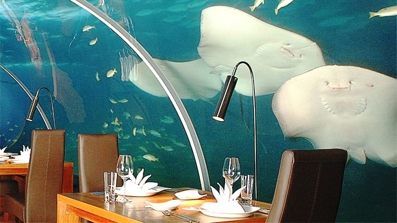 Nhung nha hang duoi dai duong anh 2