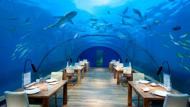 Nhung nha hang duoi dai duong anh 3