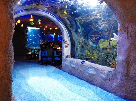 Nhung nha hang duoi dai duong anh 8