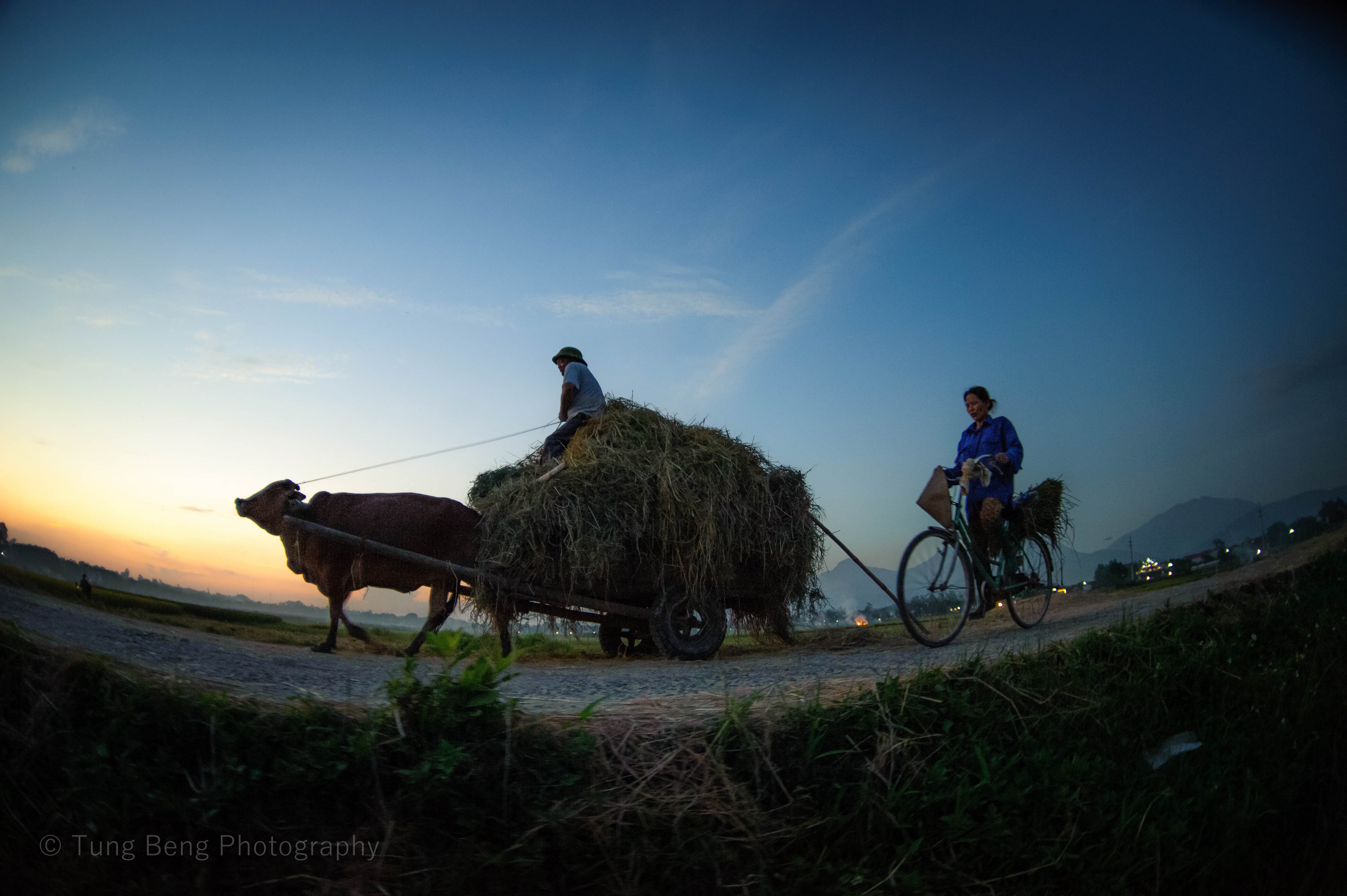 Mua vang tren dong que Bac Bo anh 1