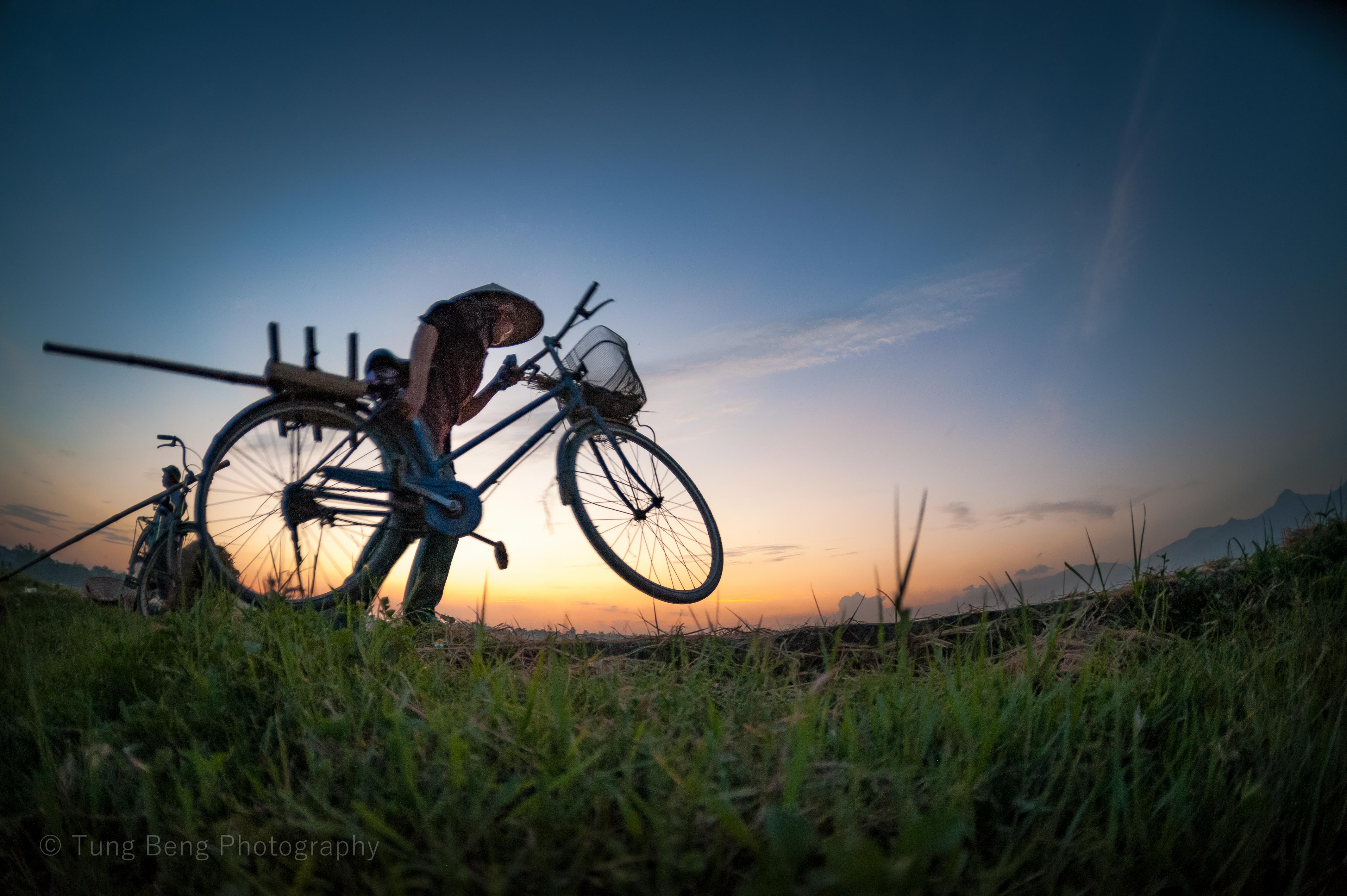 Mua vang tren dong que Bac Bo anh 5