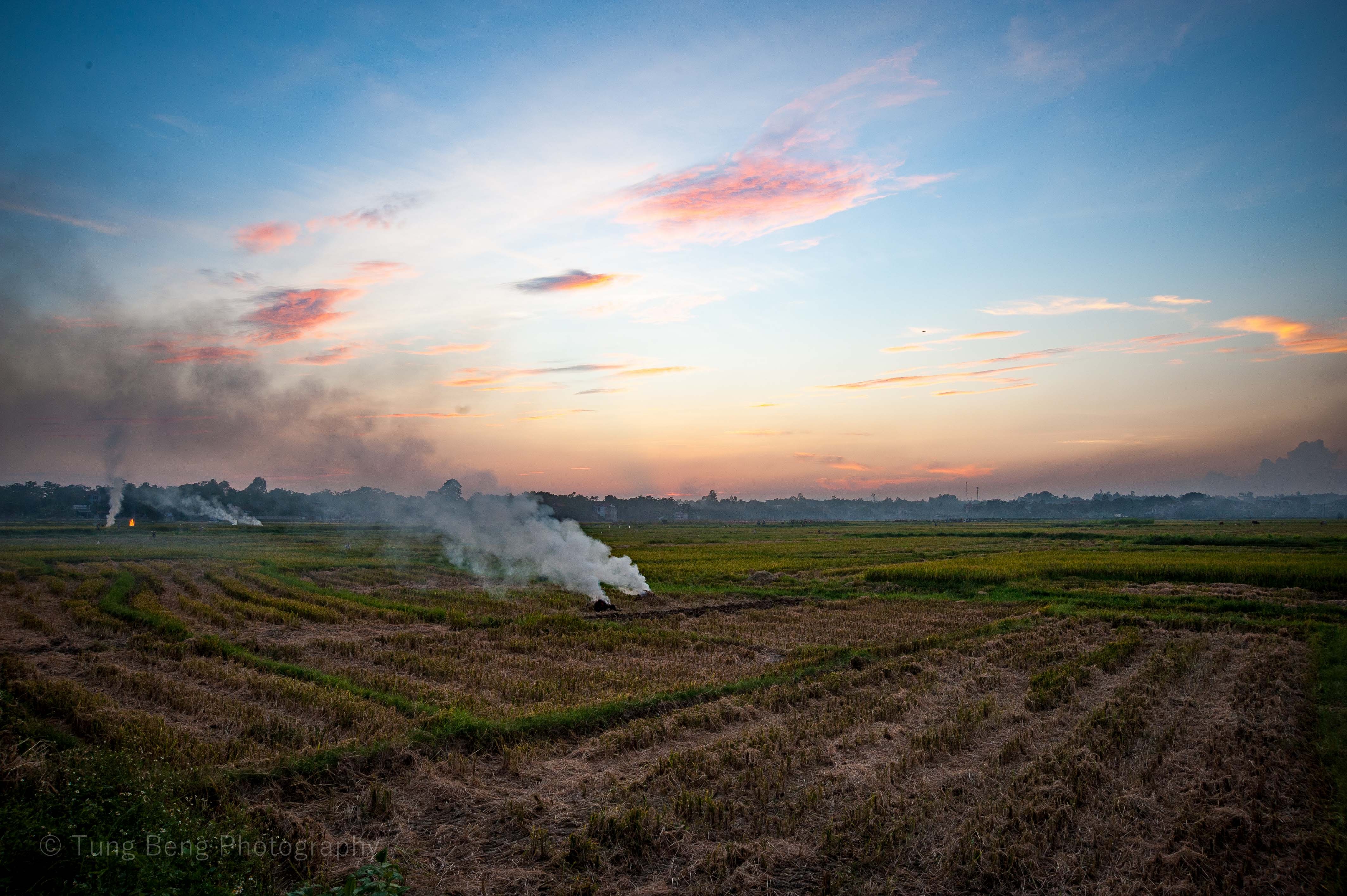 Mua vang tren dong que Bac Bo anh 6