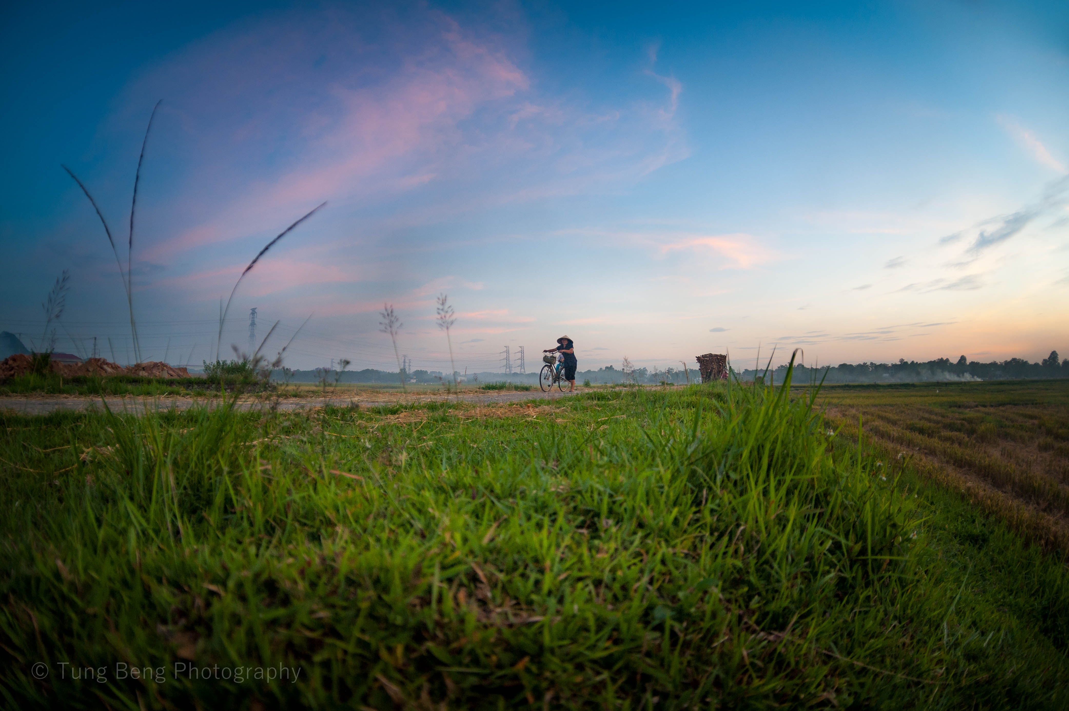 Mua vang tren dong que Bac Bo anh 7