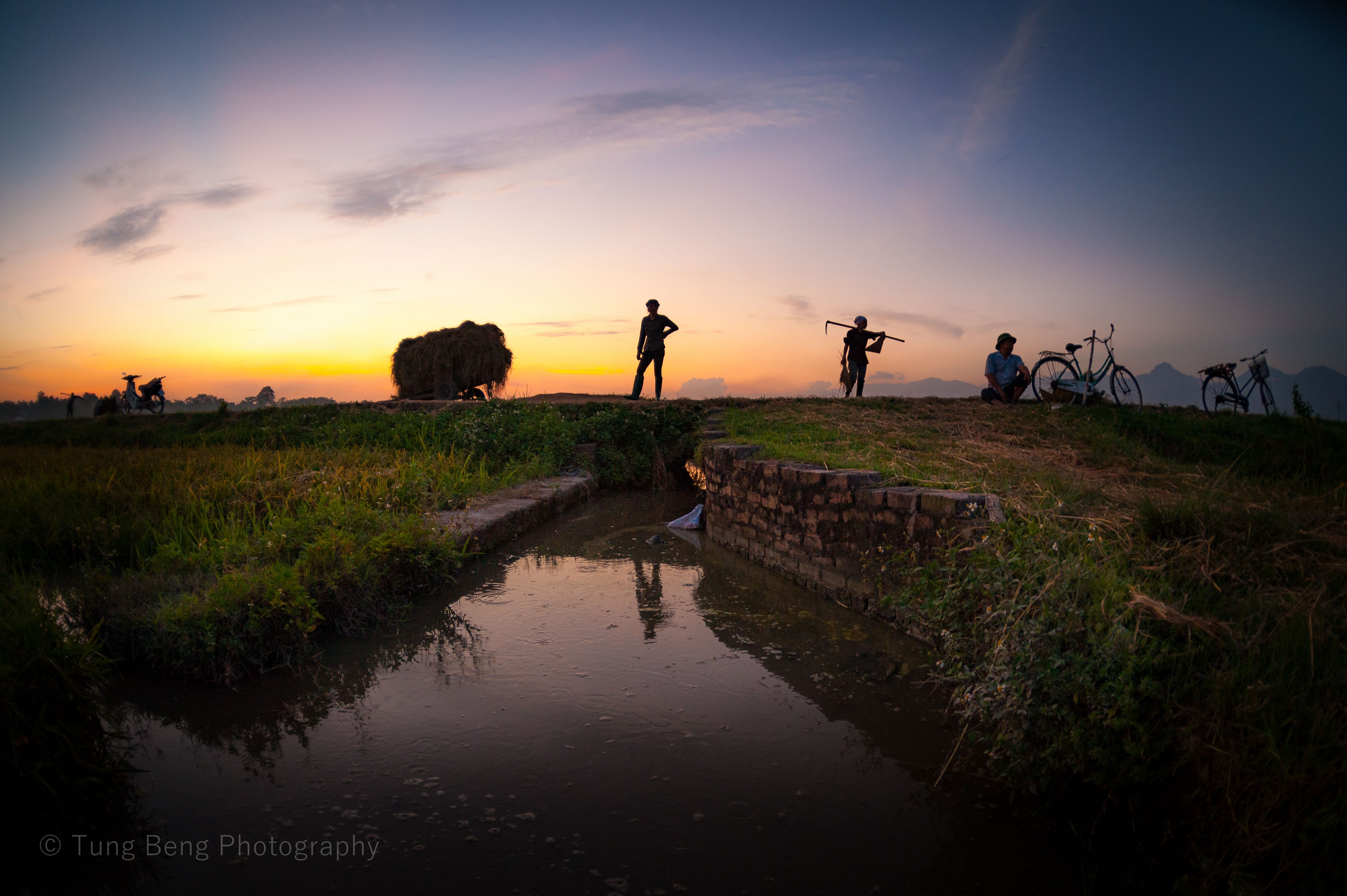 Mua vang tren dong que Bac Bo anh 8