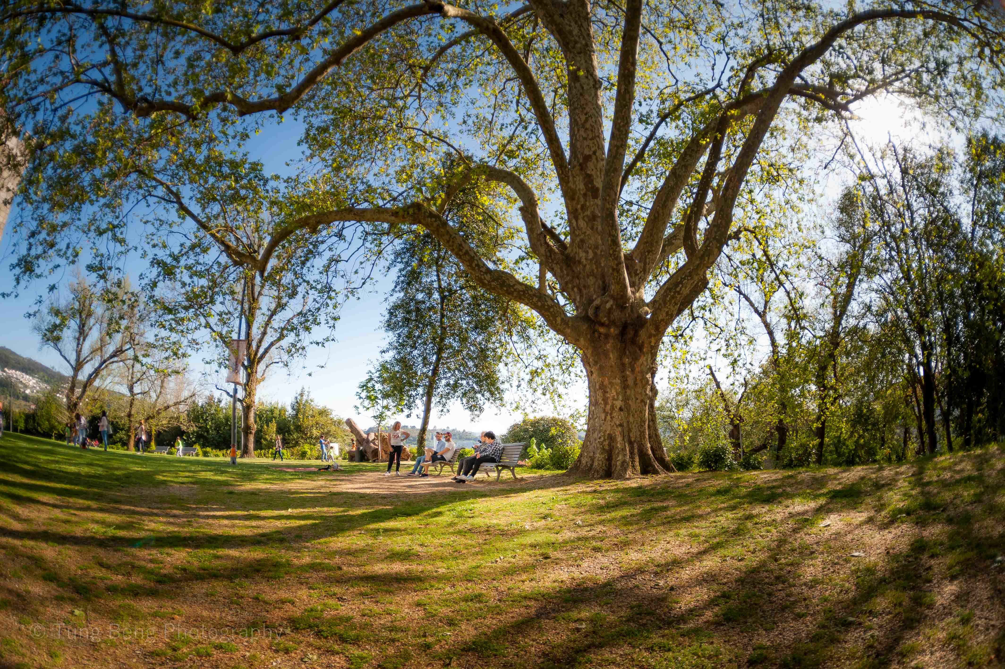 Du lich Bo Dao Nha anh 10