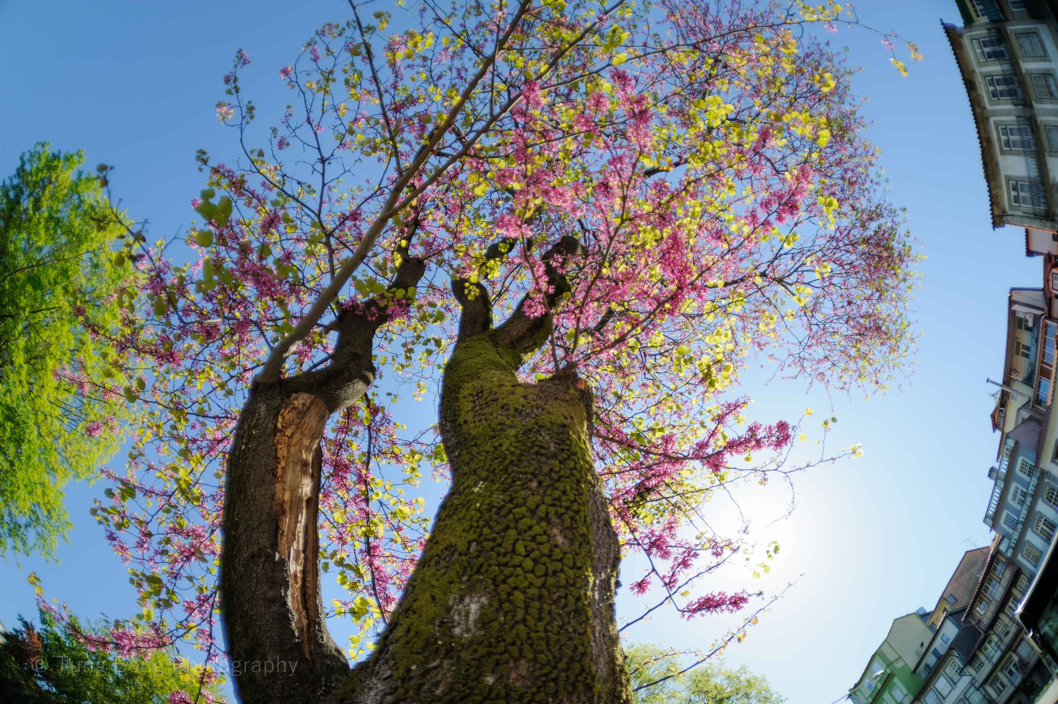 Du lich Bo Dao Nha anh 4