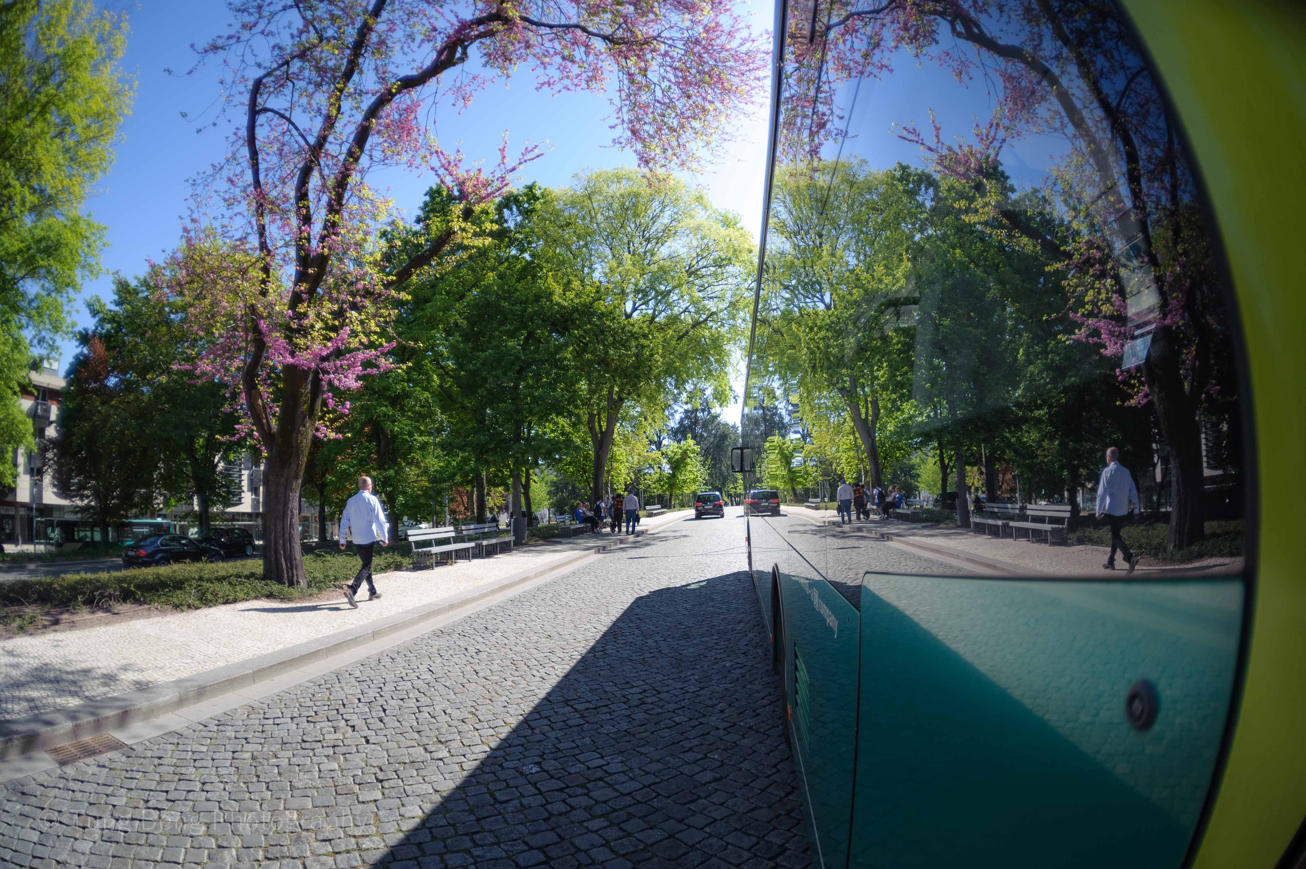 Coi nguon cua que huong danh thu Cristiano Ronaldo hinh anh