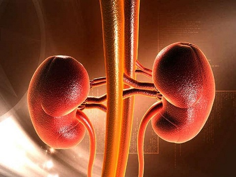 Do uong giup thanh loc co the anh 1