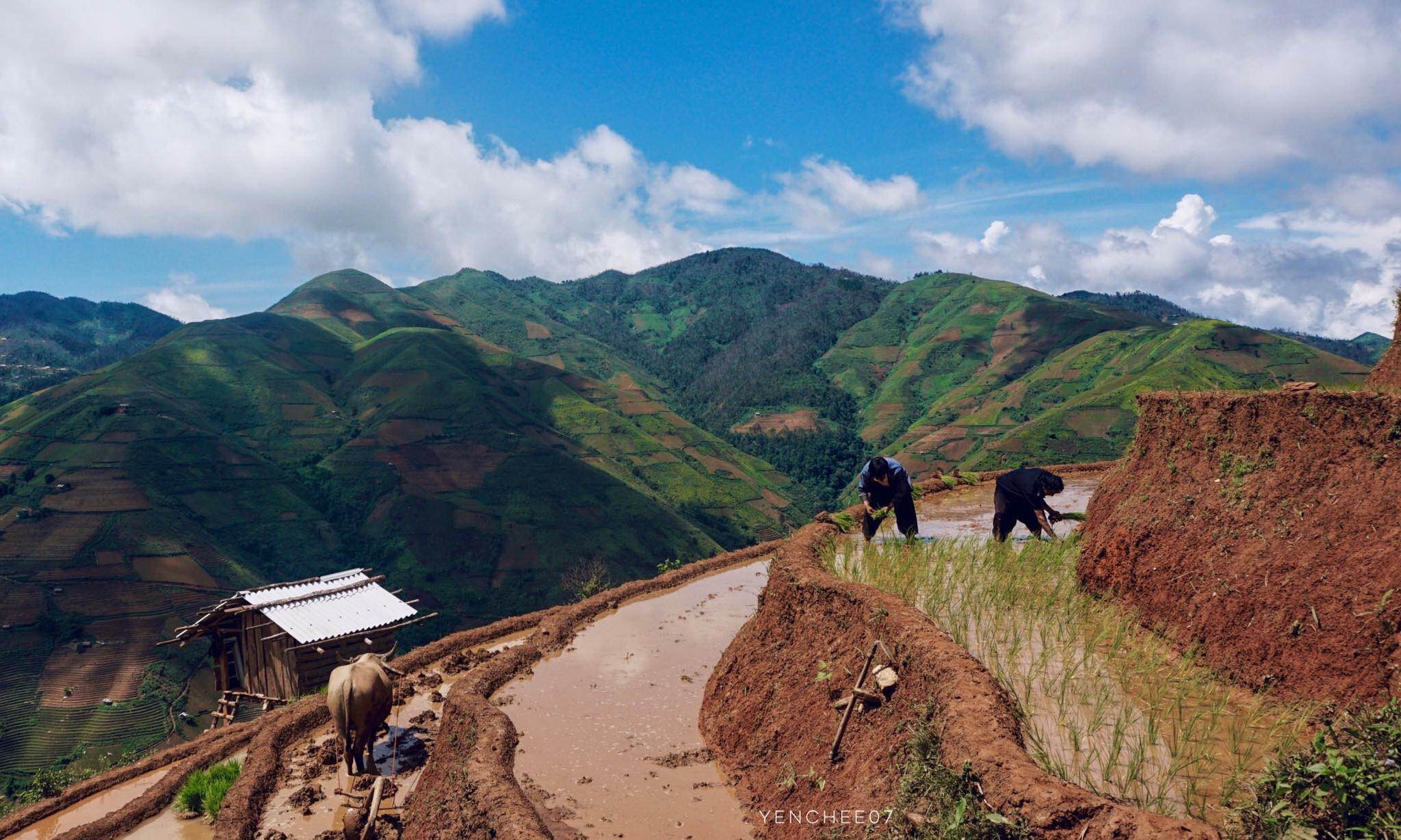 Du lich Mu Cang Chai anh 7