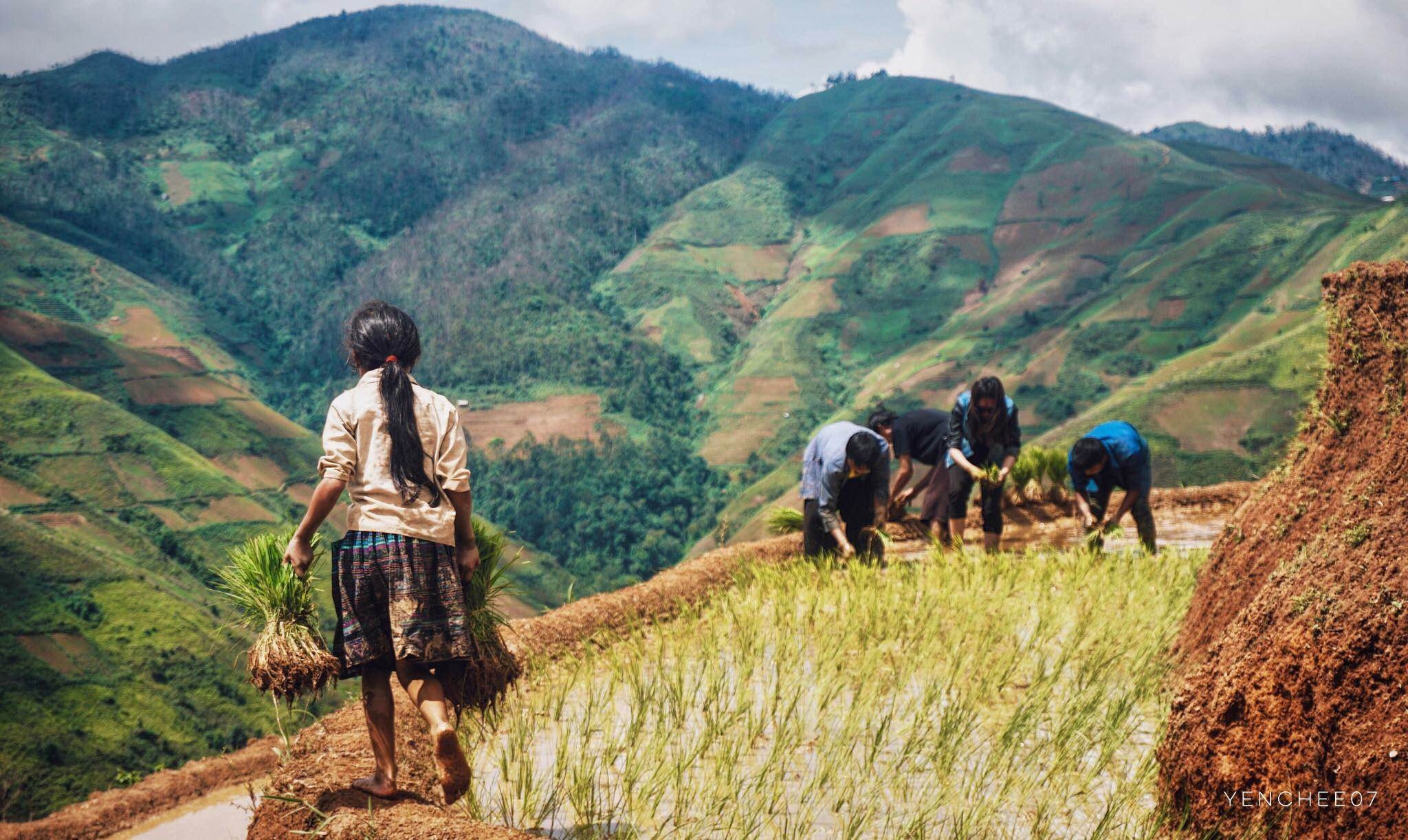 Du lich Mu Cang Chai anh 8