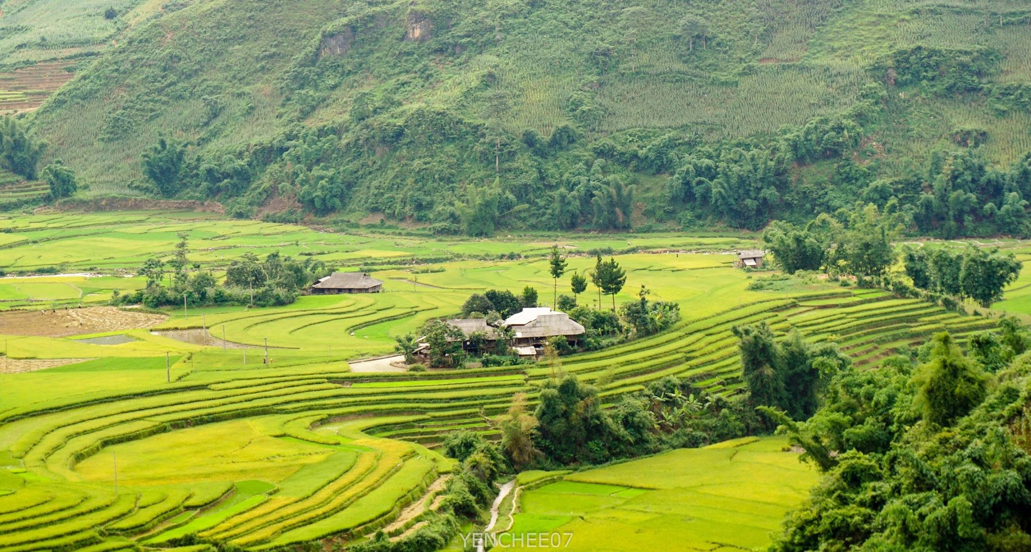 Du lich Mu Cang Chai anh 11