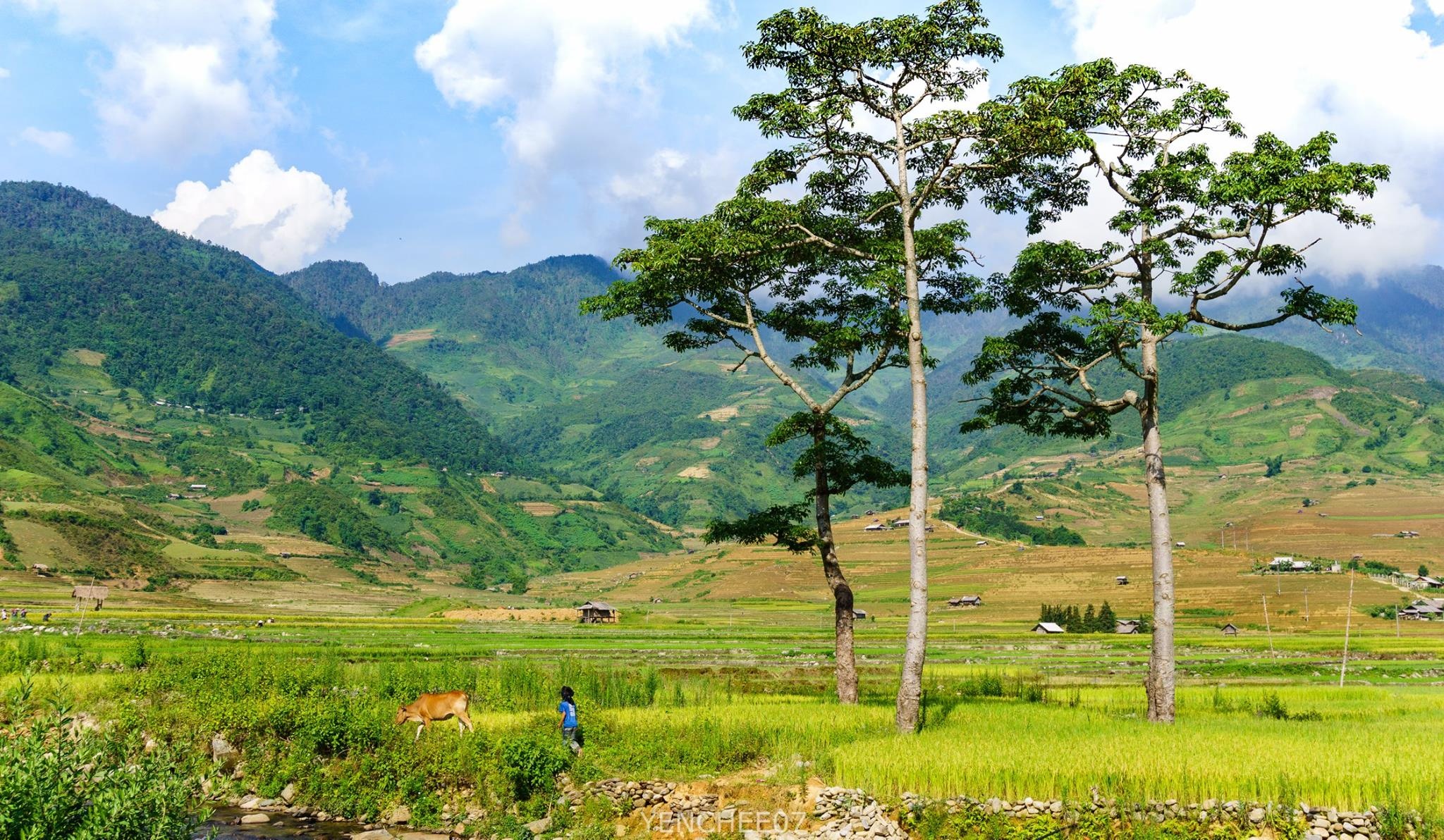 Du lich Mu Cang Chai anh 4