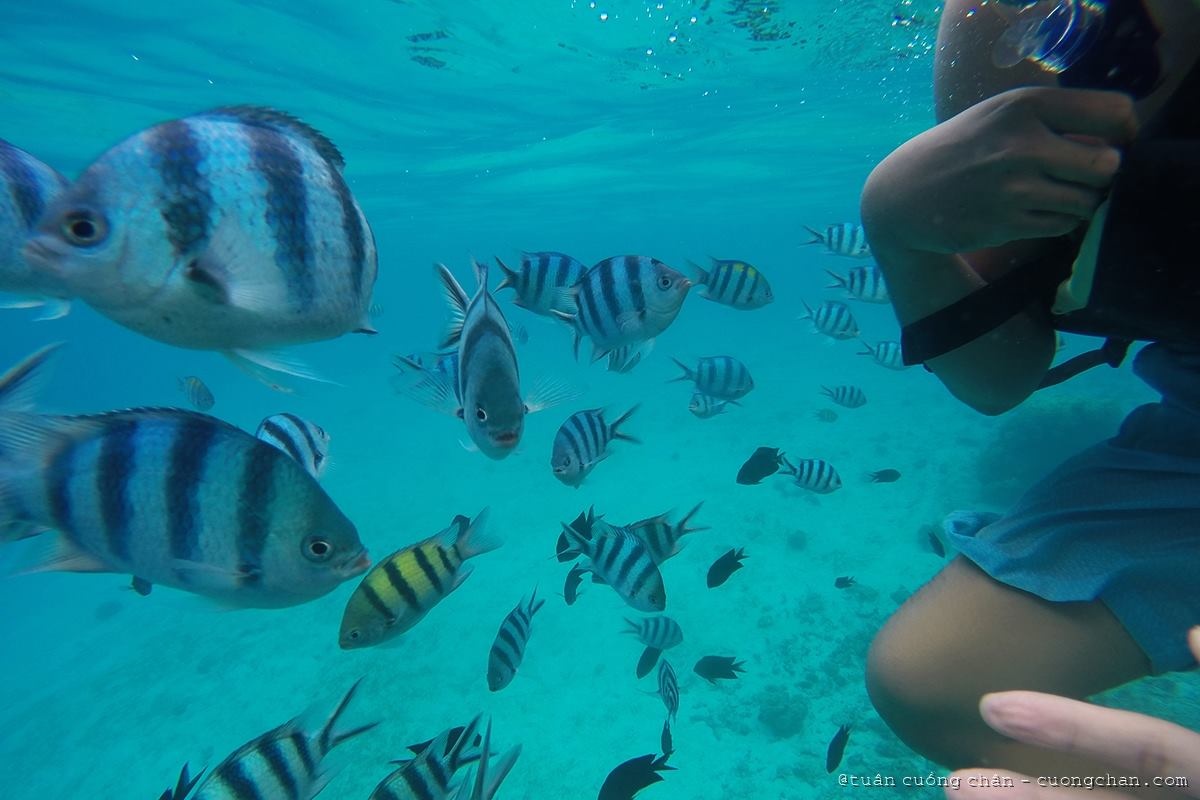 Huong dan du lich El Nido anh 13