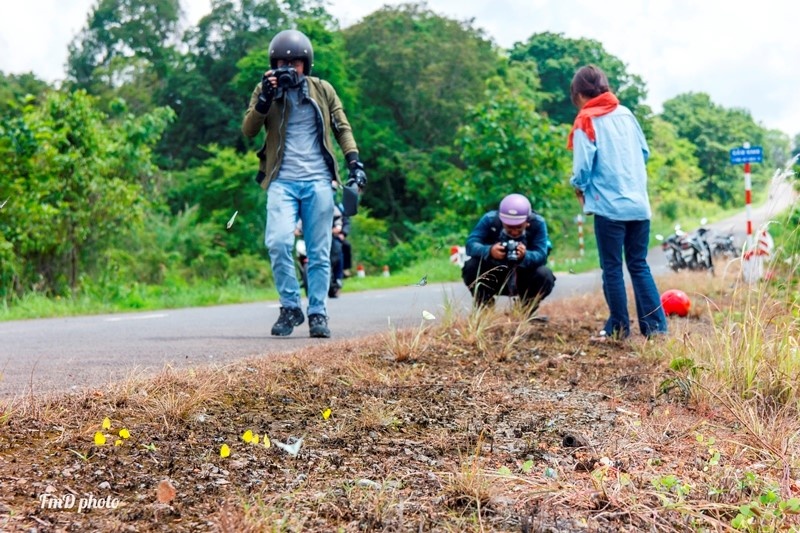 Mua buom Ma Da anh 4