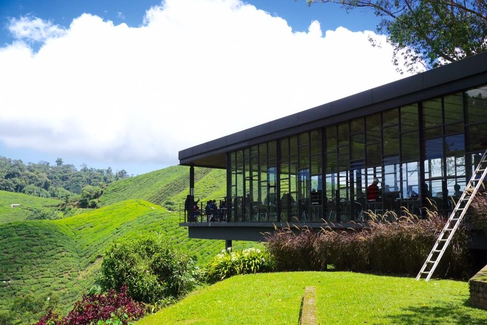 Du lịch Malaysia ảnh 6 Du lich Malaysia anh 6