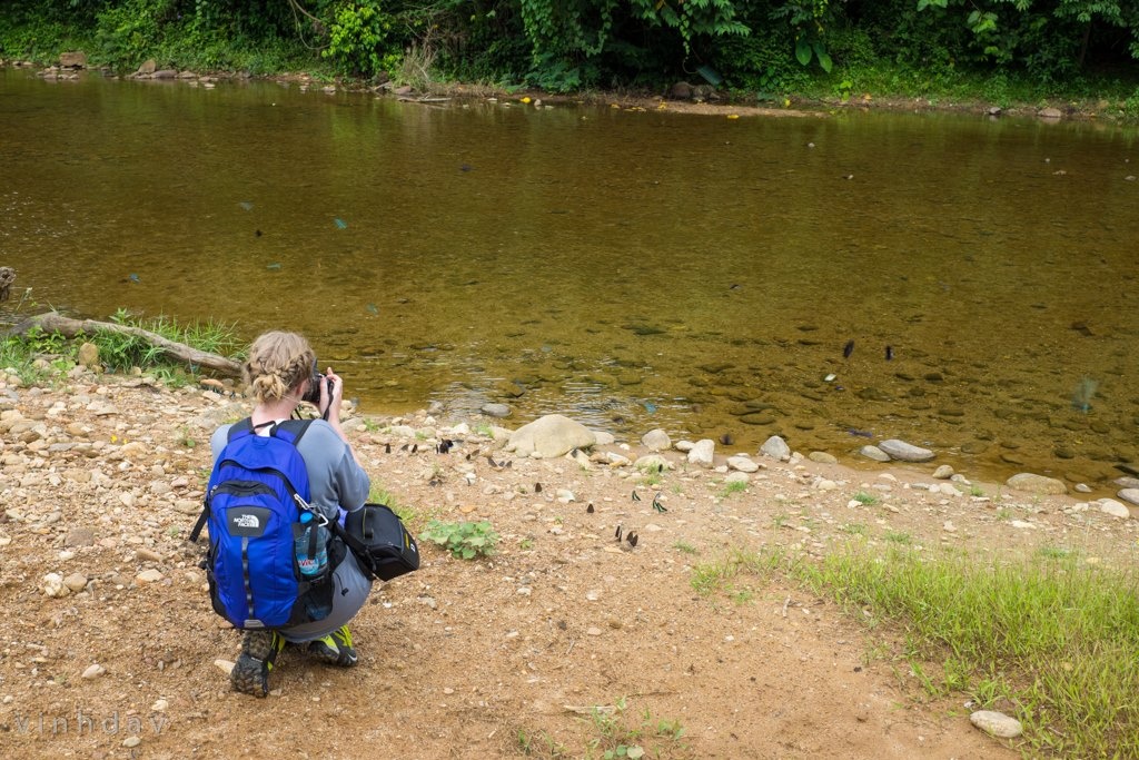 Kham pha hang Son Doong anh 2