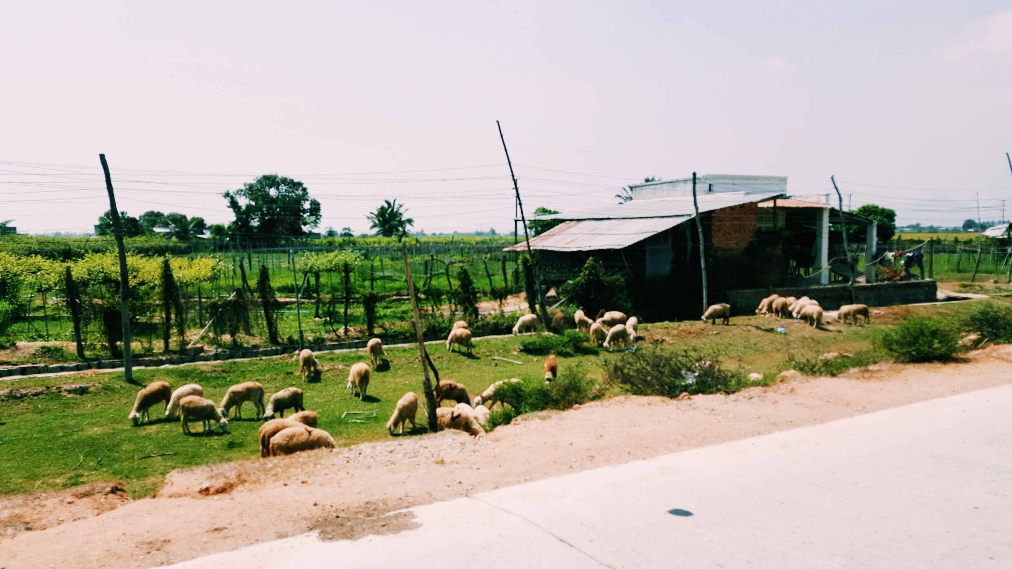 Khám phá hang Rái ảnh 4 Kham pha hang Rai anh 4