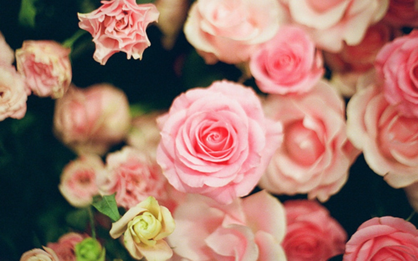 Tu vi thu sau ngay 15/7 cua cac cung hoang dao hinh anh