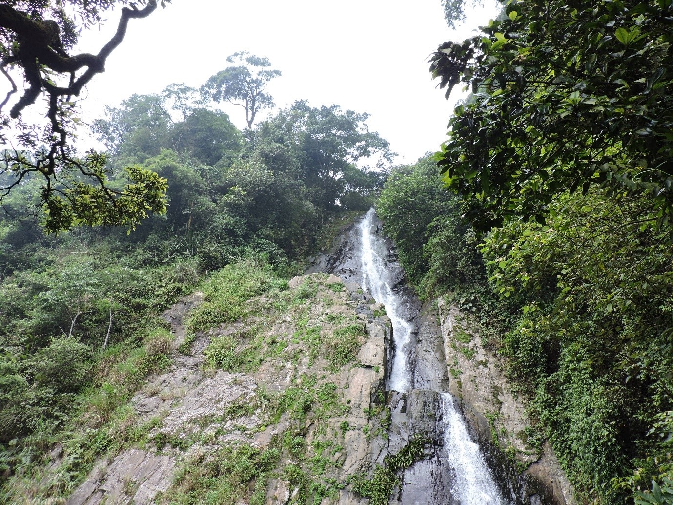 Du lịch Tam Đảo ảnh 2 Du lich Tam Dao anh 2