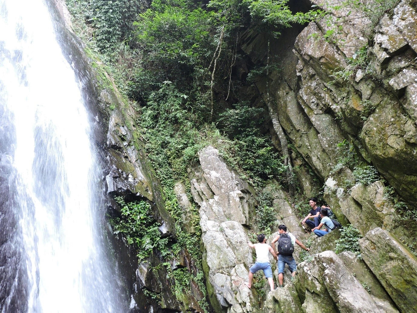 Du lịch Tam Đảo ảnh 4 Du lich Tam Dao anh 4