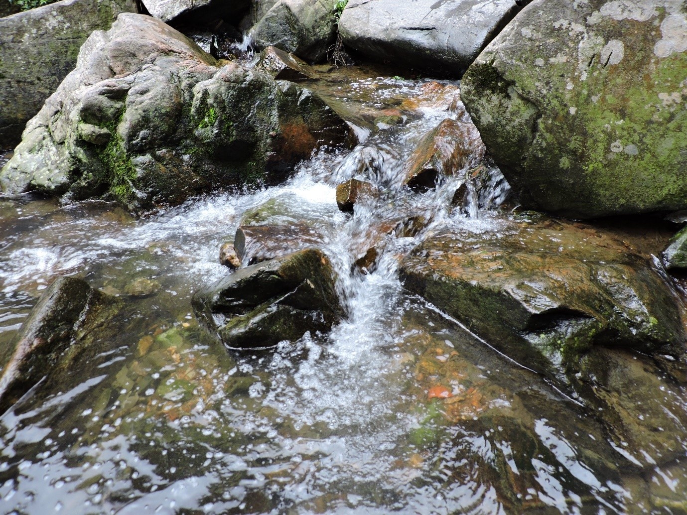 Du lịch Tam Đảo ảnh 6 Du lich Tam Dao anh 6