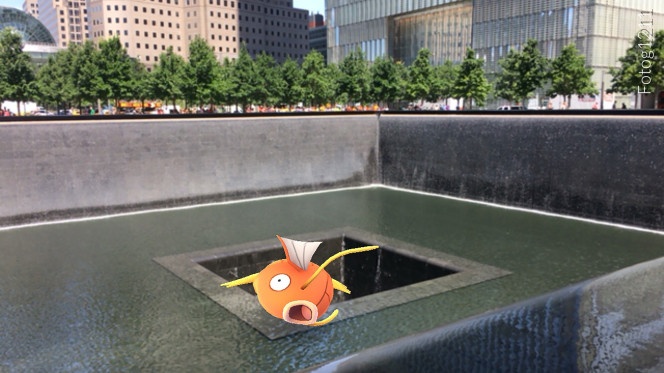 săn Pokemon ảnh 3 san Pokemon anh 3