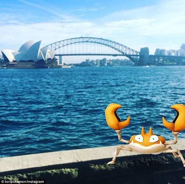 săn Pokemon ảnh 5 san Pokemon anh 5