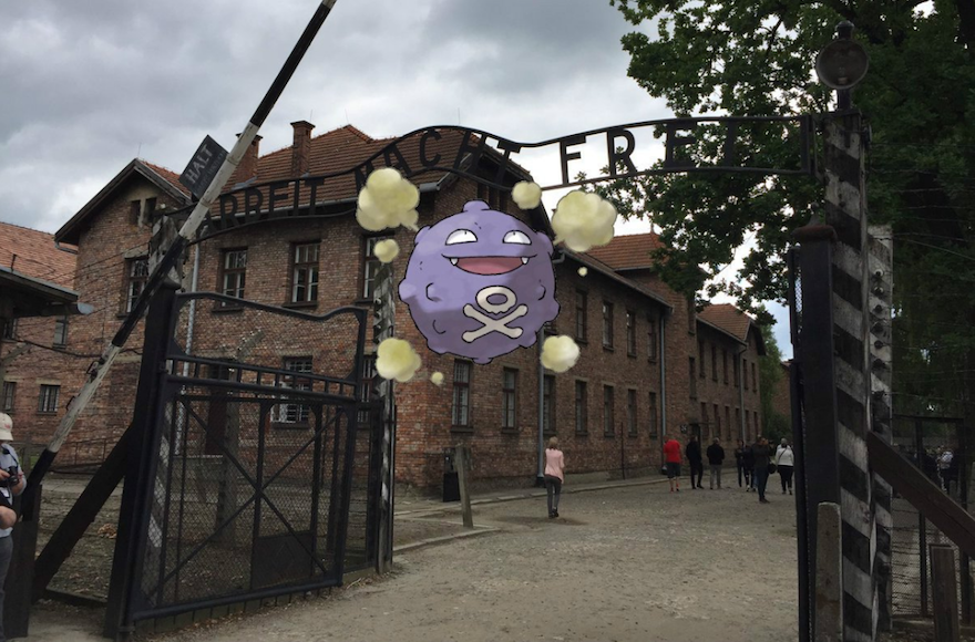 săn Pokemon ảnh 9 san Pokemon anh 9