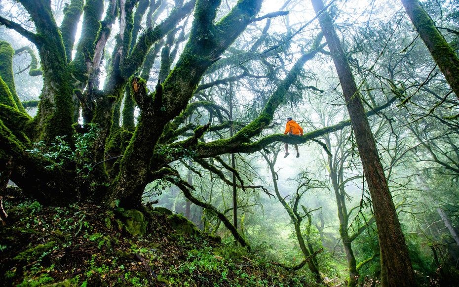 những câu nói hay về du lịch ảnh 3 nhung cau noi hay ve du lich anh 3